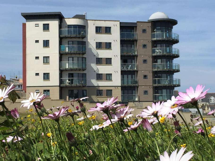 2Bed With Pool & Sea View Apartment New Quay Exteriér fotografie